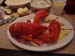 6206Lobster