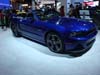 2014_Chicago_Auto_Show-31