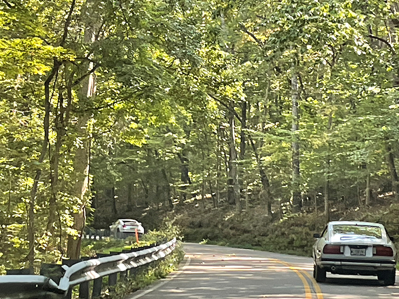 photo-4538483786416128