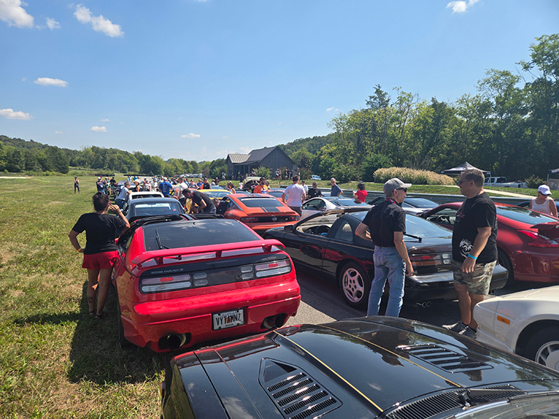 photo-4590190713143296