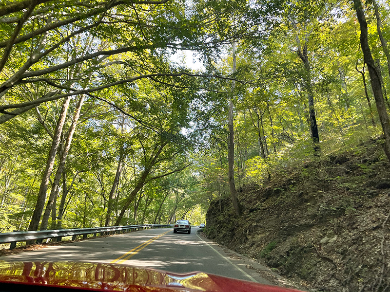 photo-5118157470072832