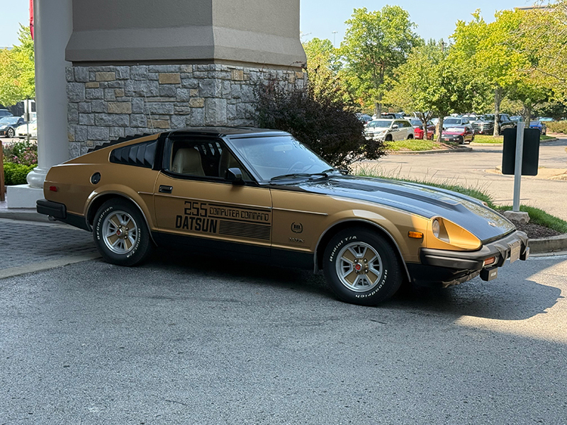 photo-5165931146280960