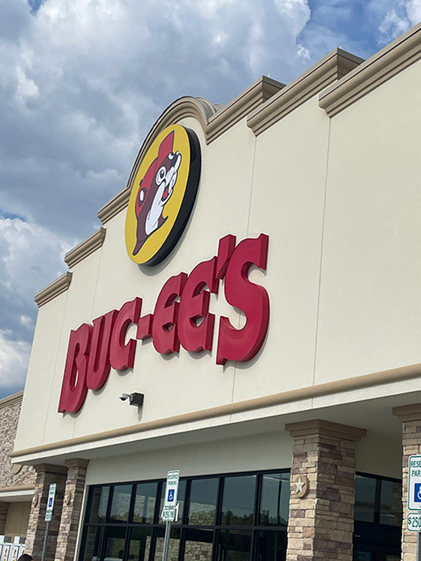 photo-5426767781724160