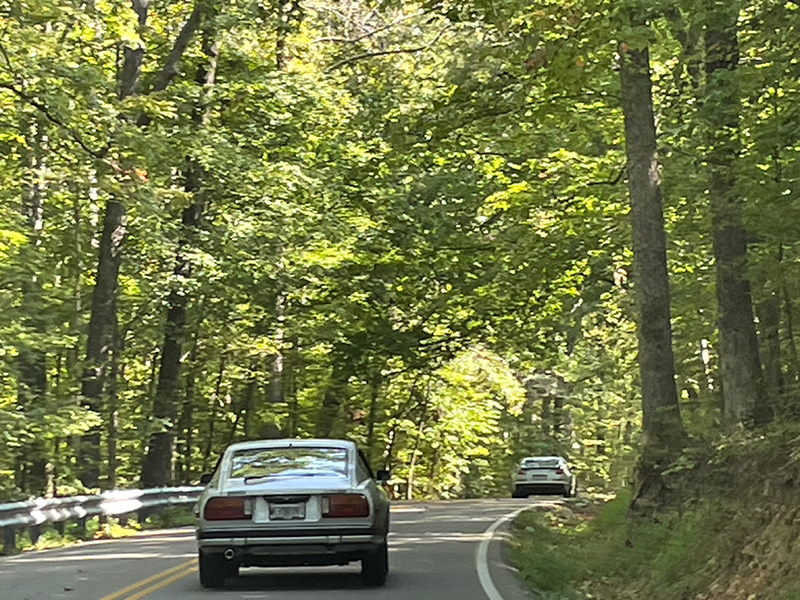 photo-5456898789244928