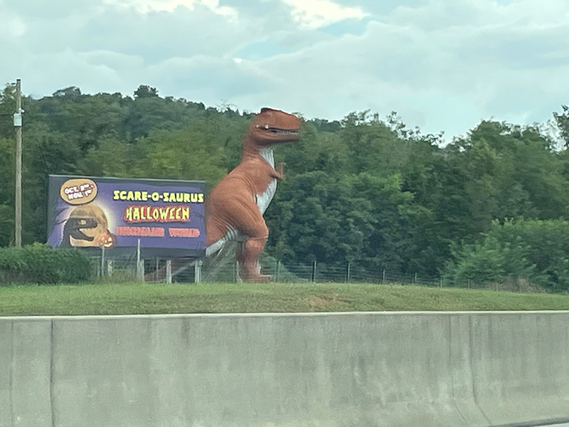 photo-5730909918101504