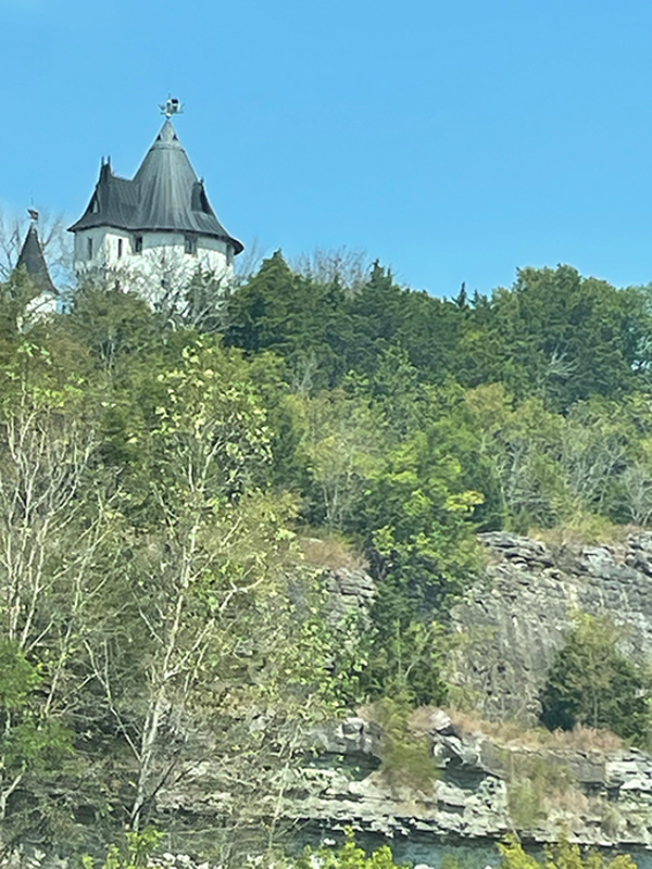 photo-6415351611424768