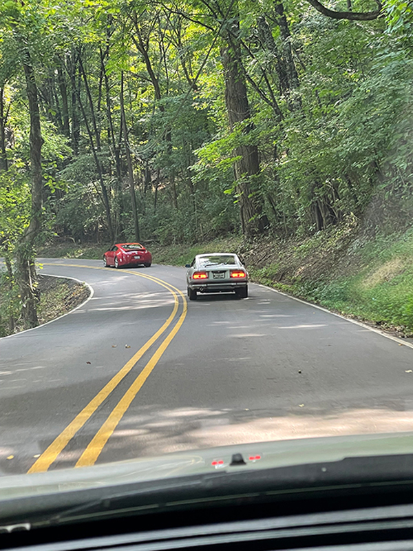 photo-6637531360165888