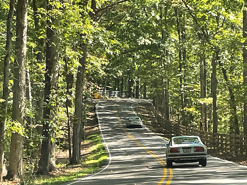 photo-6715857521115136