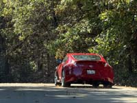 IMG_0903 copy